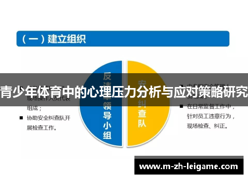青少年体育中的心理压力分析与应对策略研究