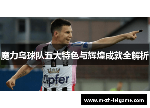 魔力鸟球队五大特色与辉煌成就全解析