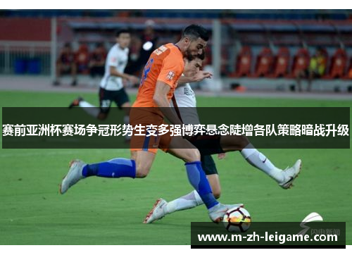 赛前亚洲杯赛场争冠形势生变多强博弈悬念陡增各队策略暗战升级 赛前亚洲杯赛场争冠形势生变多强博弈悬念陡增各队策略暗战升级